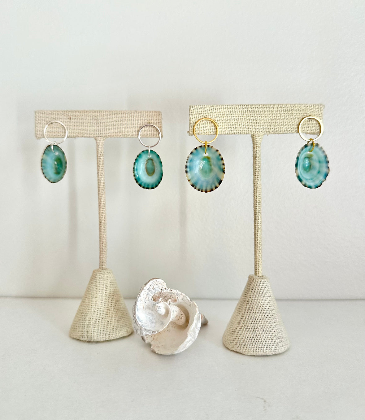 Limpet Shell Jewelry Collection