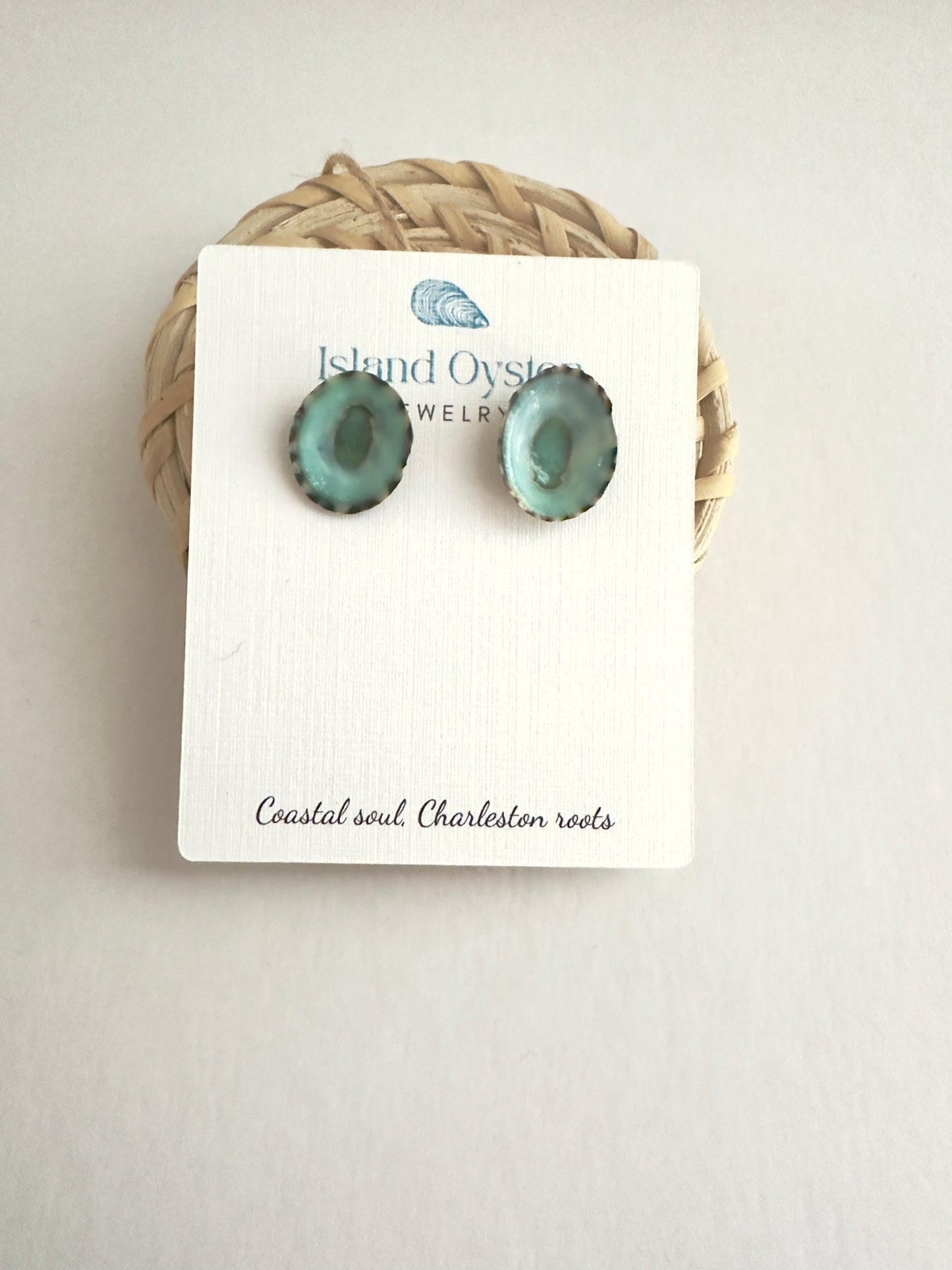 Limpet Shell Stud Earrings