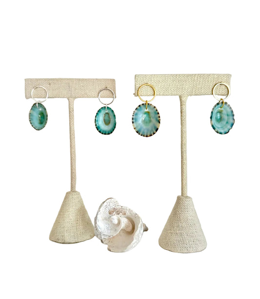 Limpet Shell Jewelry Collection