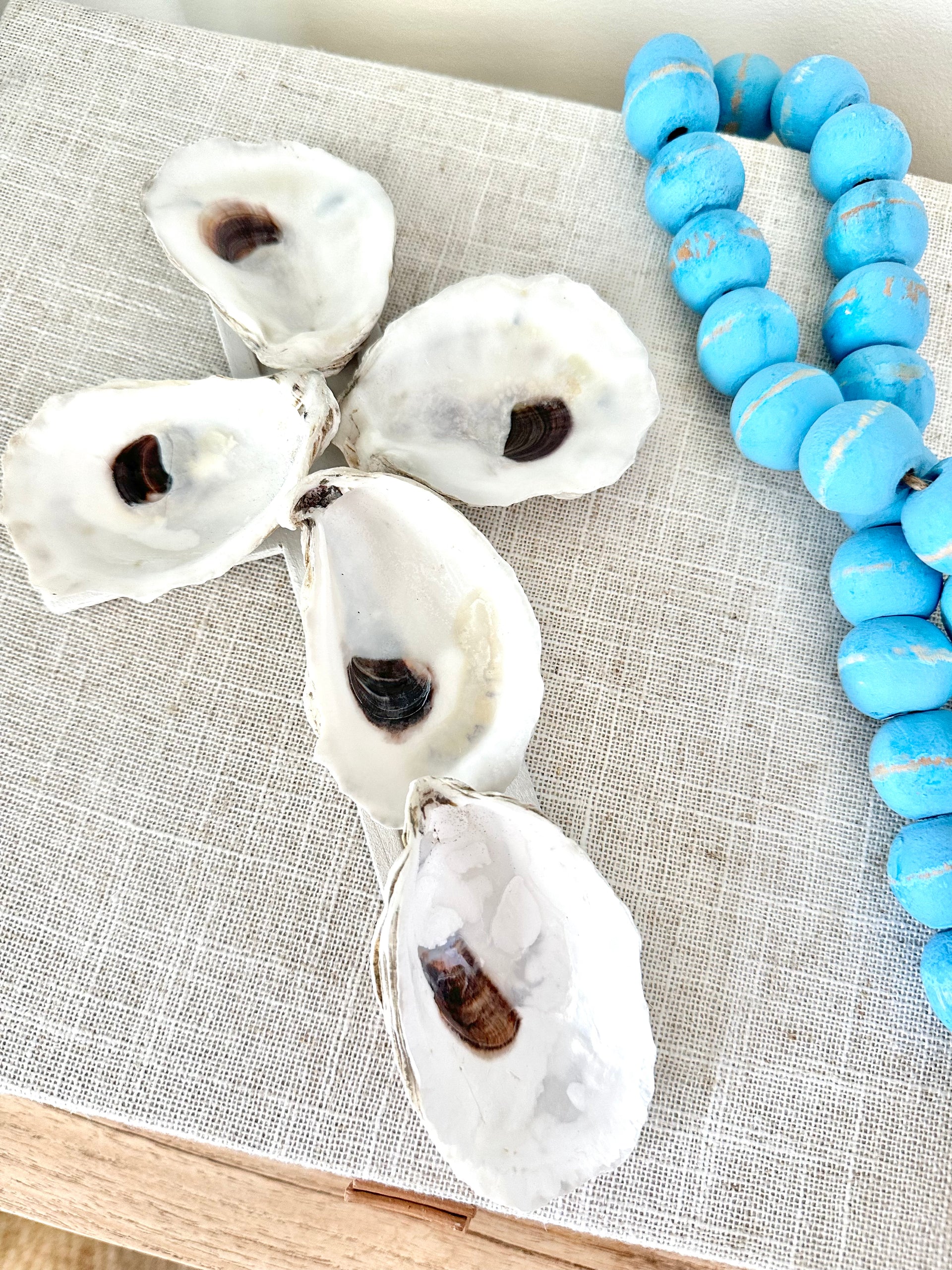 貝殻 小物入れ STONE MILL DESIGNS SANTA CRUZ 貝殻 小物入れ STONE